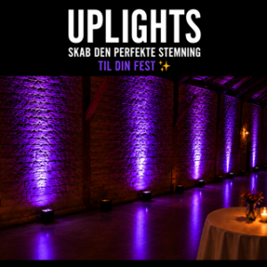 Lej uplights