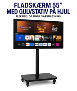 Lej fladskærm 55