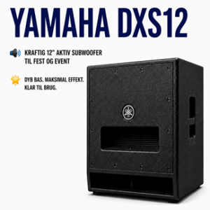 Lej Yamaha DXS12