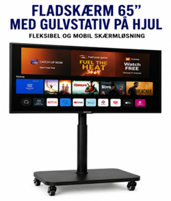 Lej fladskærm 65